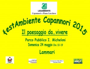 Manifesto Festambiente Capannori 2015